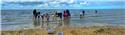 Veranstaltungsbild Familien-Keschertour "Was schwimmt denn da im Meer?"
